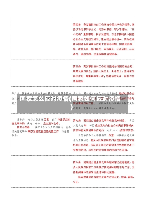 国家怎么应对疫情(国家如何应对疫情)