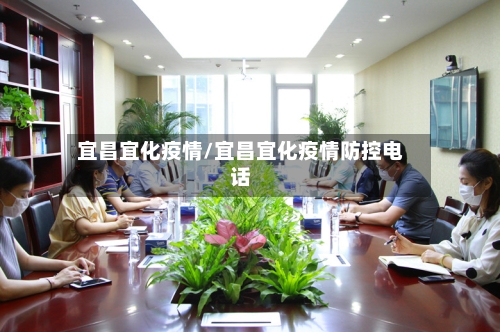 宜昌宜化疫情/宜昌宜化疫情防控电话-第2张图片