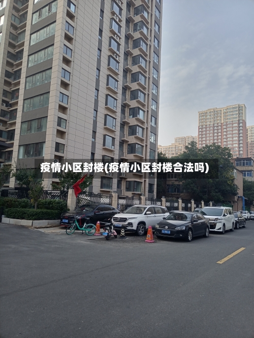 疫情小区封楼(疫情小区封楼合法吗)-第2张图片