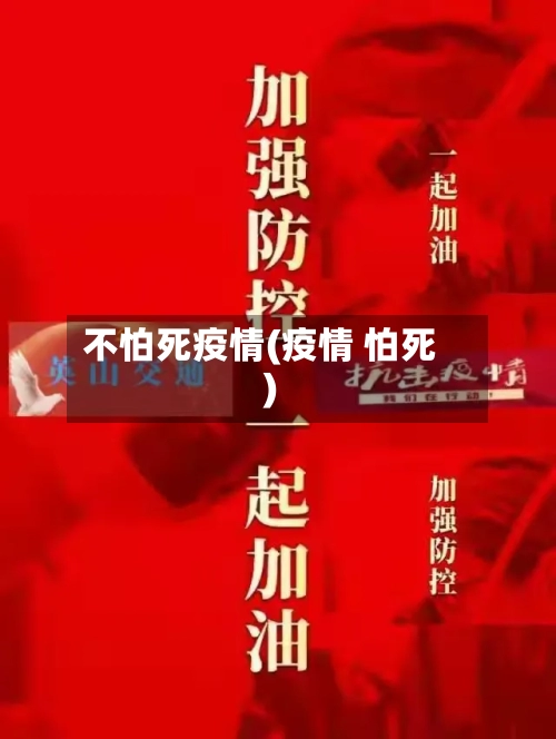 不怕死疫情(疫情 怕死)-第3张图片