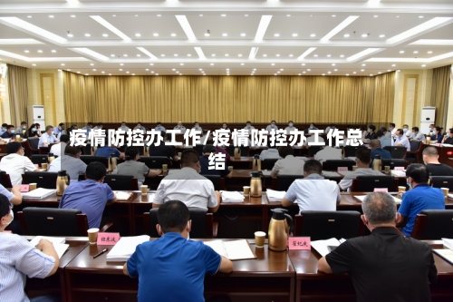 疫情防控办工作/疫情防控办工作总结-第2张图片