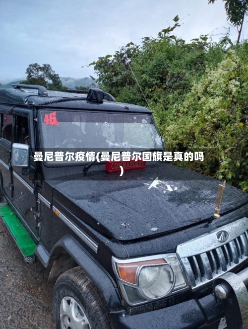 曼尼普尔疫情(曼尼普尔国旗是真的吗)