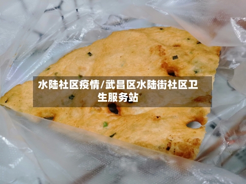 水陆社区疫情/武昌区水陆街社区卫生服务站