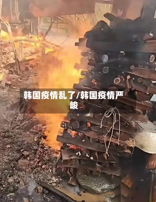 韩国疫情乱了/韩国疫情严峻-第2张图片