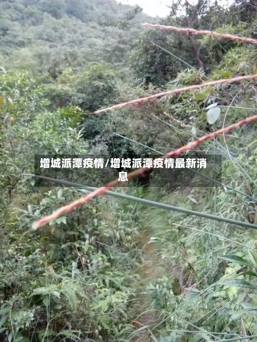 增城派潭疫情/增城派潭疫情最新消息-第2张图片