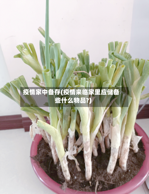 疫情家中备存(疫情来临家里应储备些什么物品?)