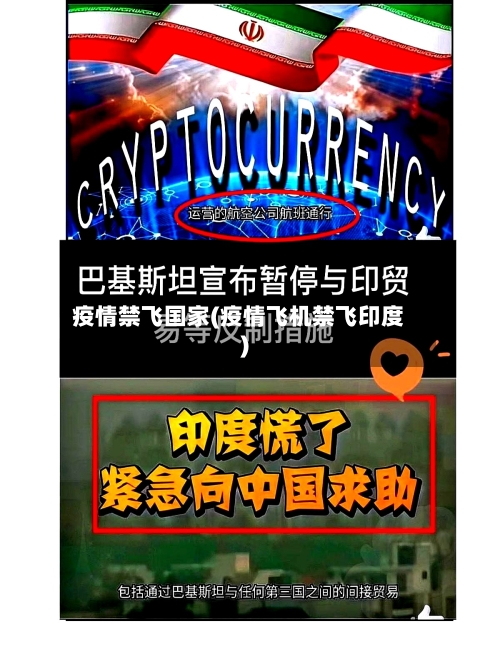 疫情禁飞国家(疫情飞机禁飞印度)-第3张图片