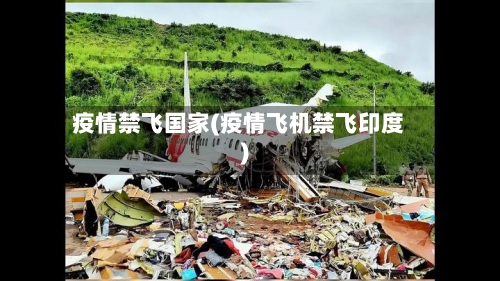 疫情禁飞国家(疫情飞机禁飞印度)
