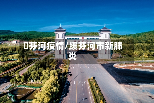 浽芬河疫情/缓芬河市新肺炎-第2张图片
