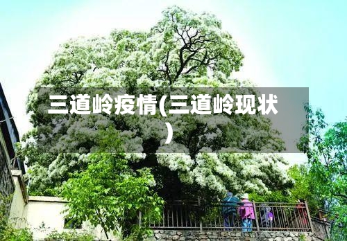三道岭疫情(三道岭现状)