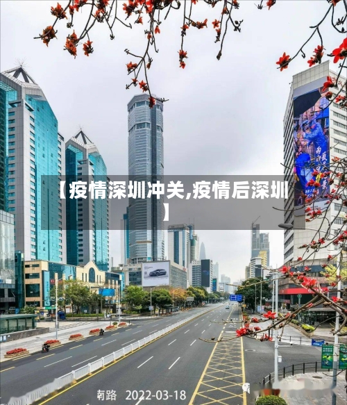 【疫情深圳冲关,疫情后深圳】-第3张图片
