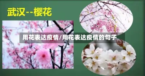 用花表达疫情/用花表达疫情的句子
