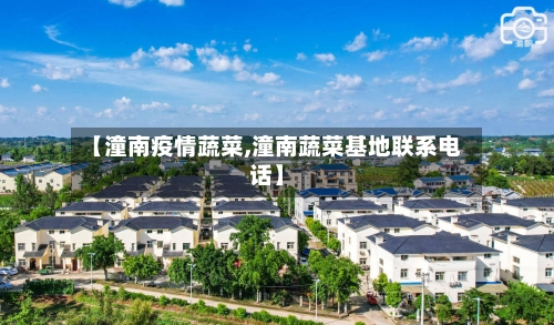 【潼南疫情蔬菜,潼南蔬菜基地联系电话】-第2张图片