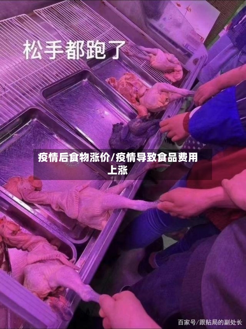疫情后食物涨价/疫情导致食品费用上涨-第2张图片