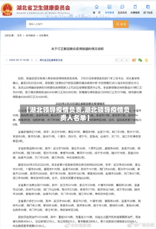 【湖北领导疫情负责,湖北领导疫情负责人名单】