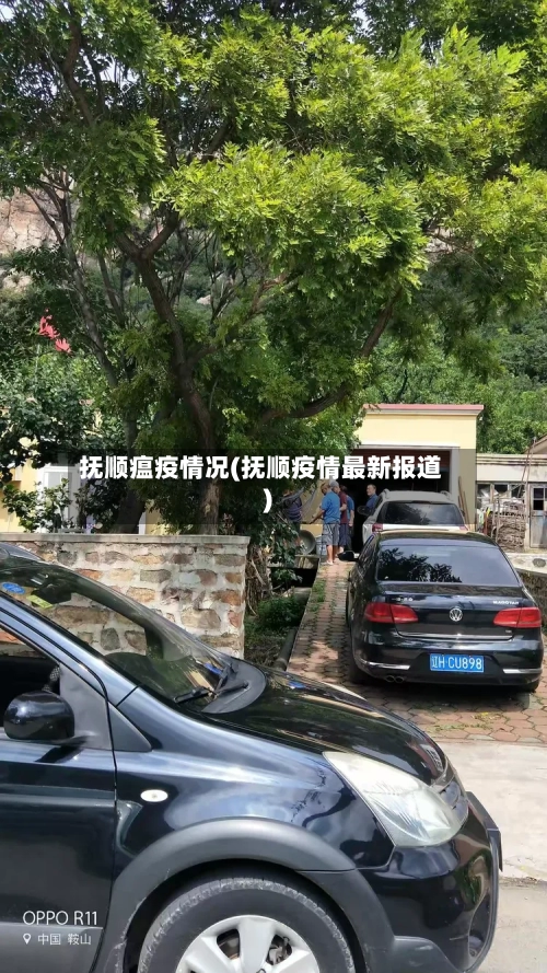 抚顺瘟疫情况(抚顺疫情最新报道)-第2张图片