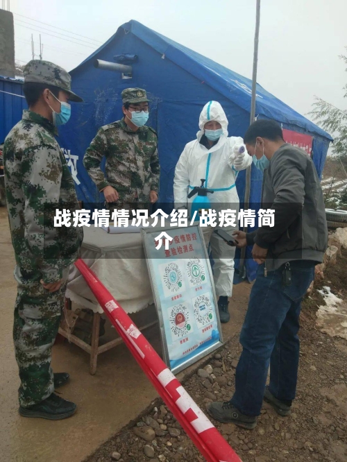 战疫情情况介绍/战疫情简介