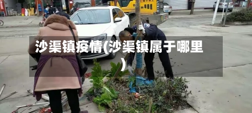 沙渠镇疫情(沙渠镇属于哪里)-第2张图片