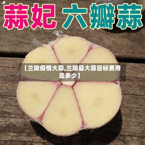 【兰陵疫情大蒜,兰陵县大蒜目标费用是多少】