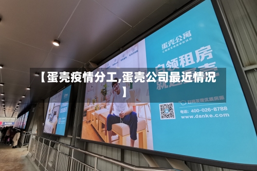 【蛋壳疫情分工,蛋壳公司最近情况】