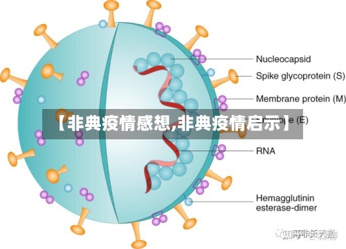 【非典疫情感想,非典疫情启示】-第2张图片