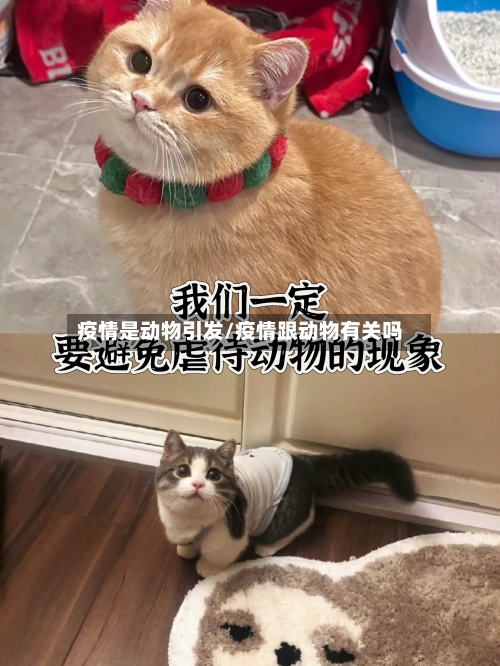 疫情是动物引发/疫情跟动物有关吗