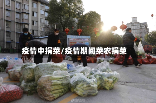 疫情中捐菜/疫情期间菜农捐菜