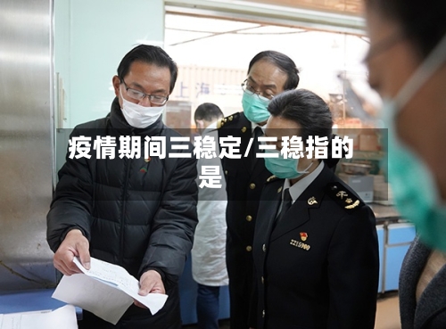 疫情期间三稳定/三稳指的是-第2张图片