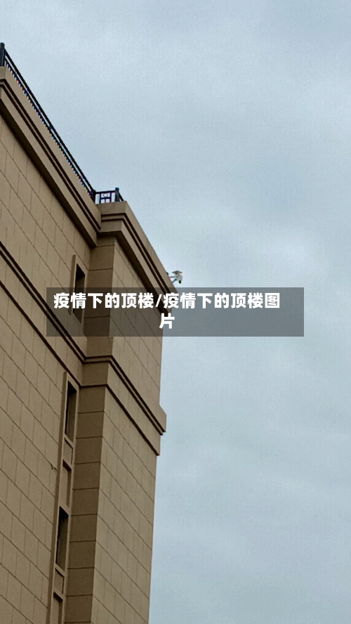 疫情下的顶楼/疫情下的顶楼图片-第2张图片