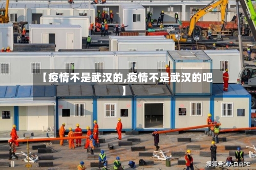 【疫情不是武汉的,疫情不是武汉的吧】