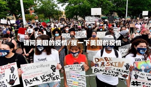 请问美国的疫情/搜一下美国的疫情-第2张图片
