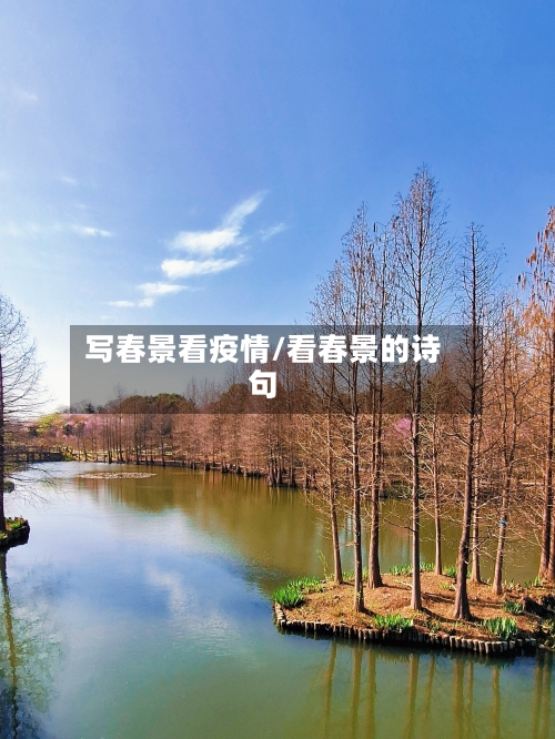 写春景看疫情/看春景的诗句-第3张图片