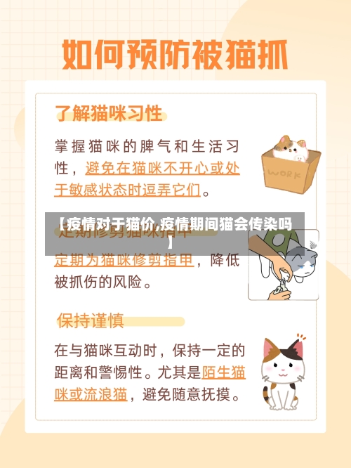 【疫情对于猫价,疫情期间猫会传染吗】