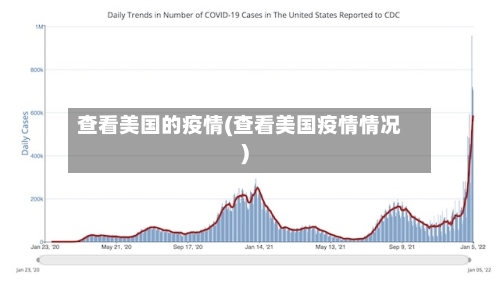 查看美国的疫情(查看美国疫情情况)