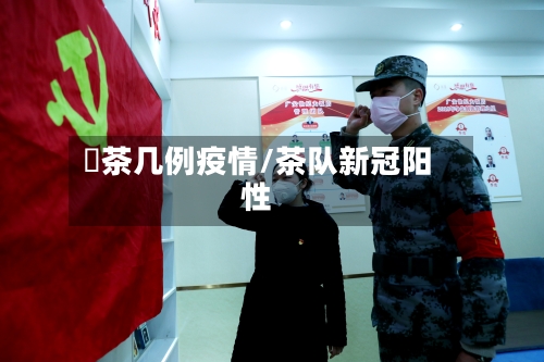 栟茶几例疫情/茶队新冠阳性