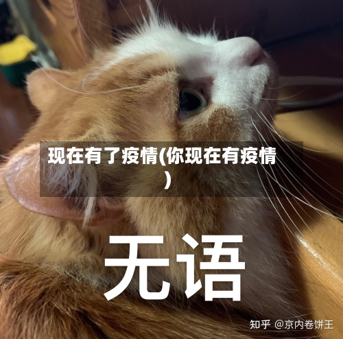 现在有了疫情(你现在有疫情)-第2张图片