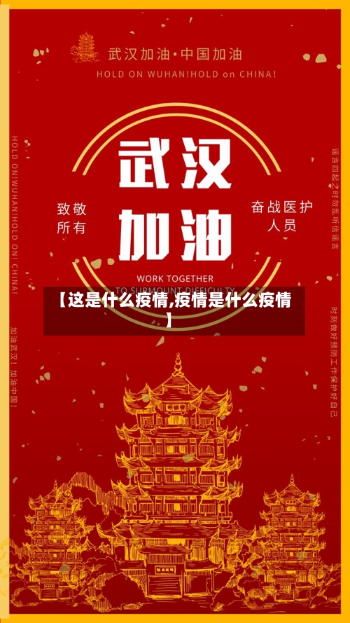 【这是什么疫情,疫情是什么疫情】