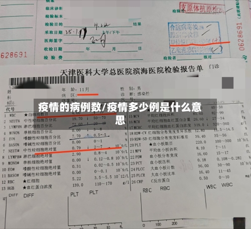 疫情的病例数/疫情多少例是什么意思