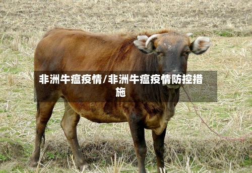 非洲牛瘟疫情/非洲牛瘟疫情防控措施-第2张图片