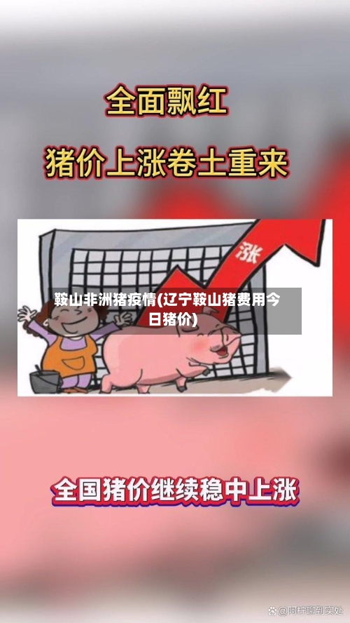 鞍山非洲猪疫情(辽宁鞍山猪费用今日猪价)-第2张图片