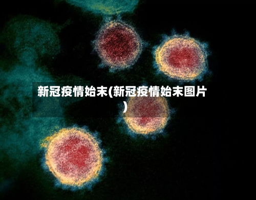 新冠疫情始末(新冠疫情始末图片)-第2张图片