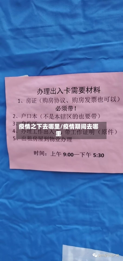 疫情之下去哪里/疫情期间去哪里