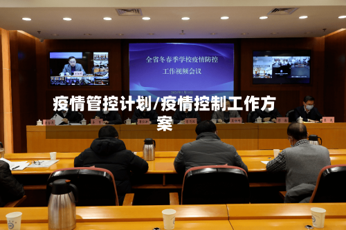 疫情管控计划/疫情控制工作方案