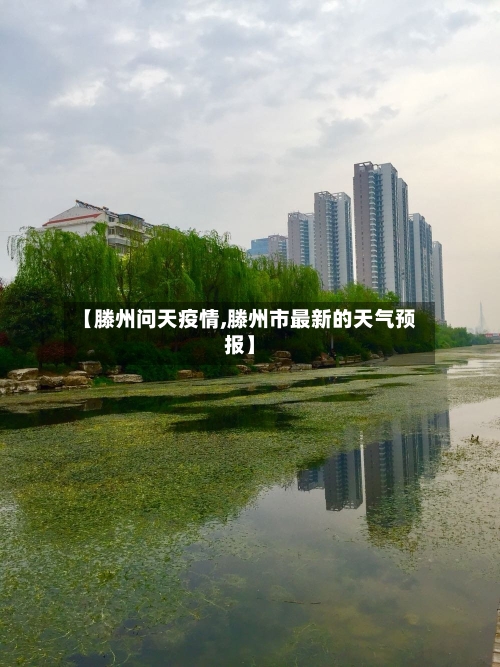 【滕州问天疫情,滕州市最新的天气预报】
