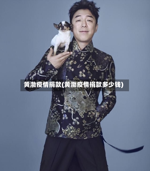 黄渤疫情捐款(黄渤疫情捐款多少钱)