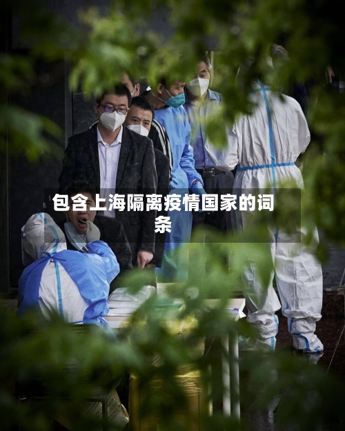 包含上海隔离疫情国家的词条