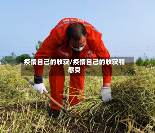 疫情自己的收获/疫情自己的收获和感受-第2张图片