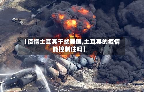 【疫情土耳其干扰美国,土耳其的疫情能控制住吗】-第2张图片