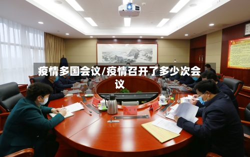 疫情多国会议/疫情召开了多少次会议