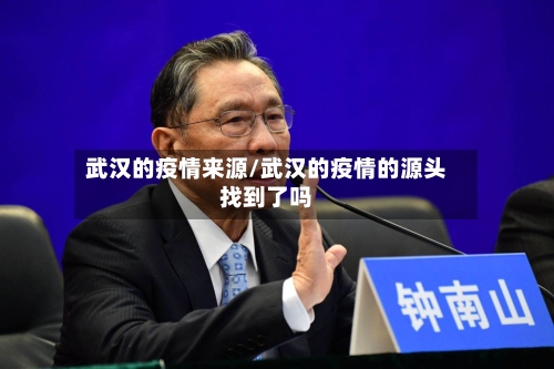 武汉的疫情来源/武汉的疫情的源头找到了吗